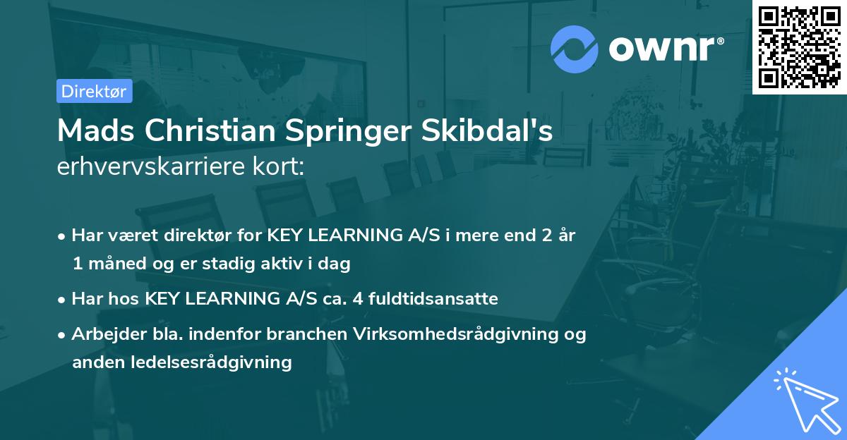 Mads Christian Springer Skibdal's erhvervskarriere kort