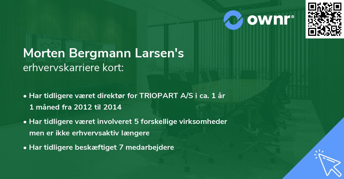 Morten Bergmann Larsen's erhvervskarriere kort
