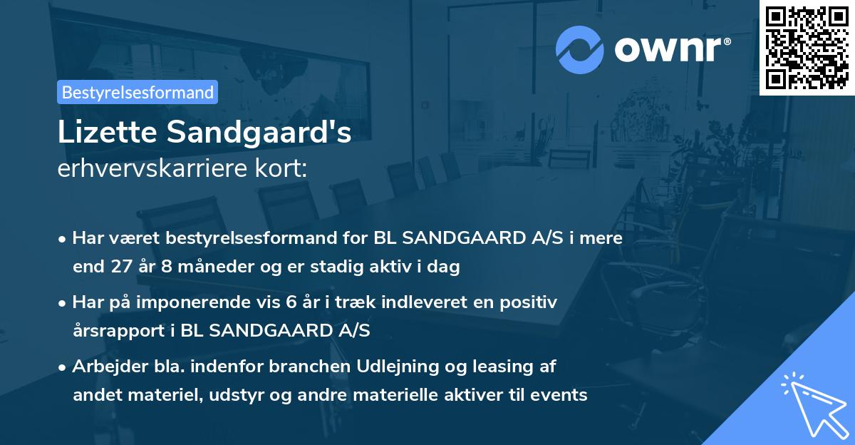 Lizette Sandgaard's erhvervskarriere kort