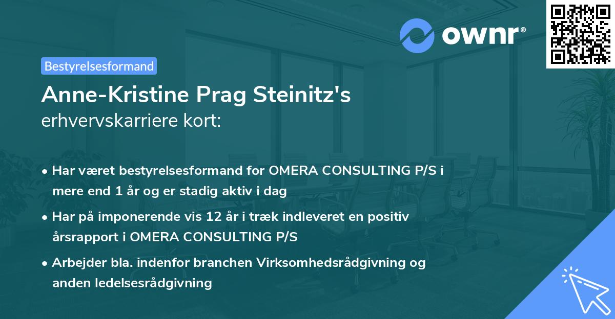 Anne-Kristine Prag Steinitz's erhvervskarriere kort
