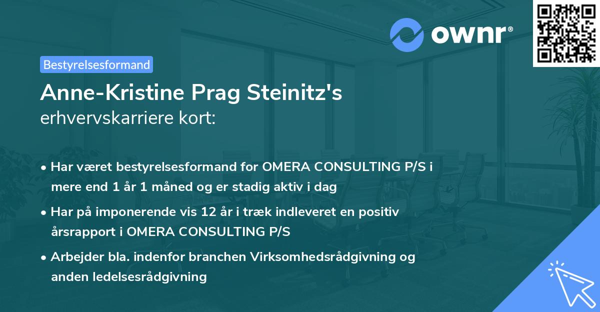 Anne-Kristine Prag Steinitz's erhvervskarriere kort