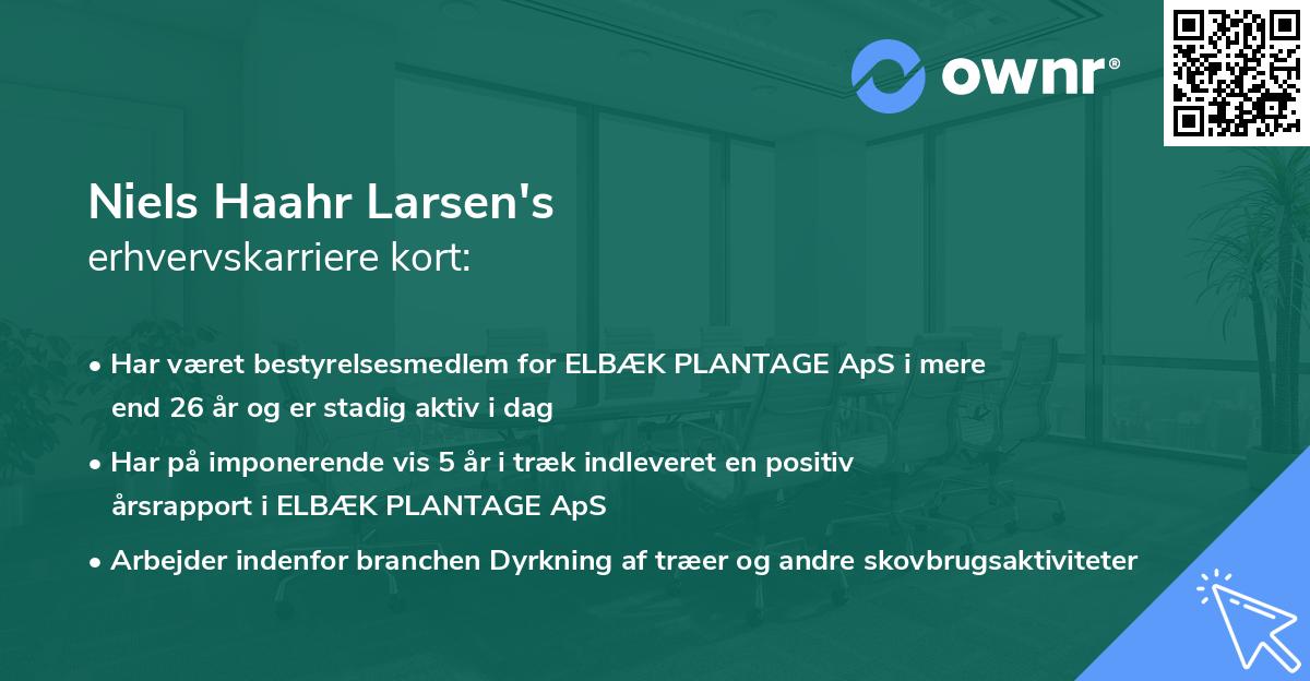 Niels Haahr Larsen's erhvervskarriere kort