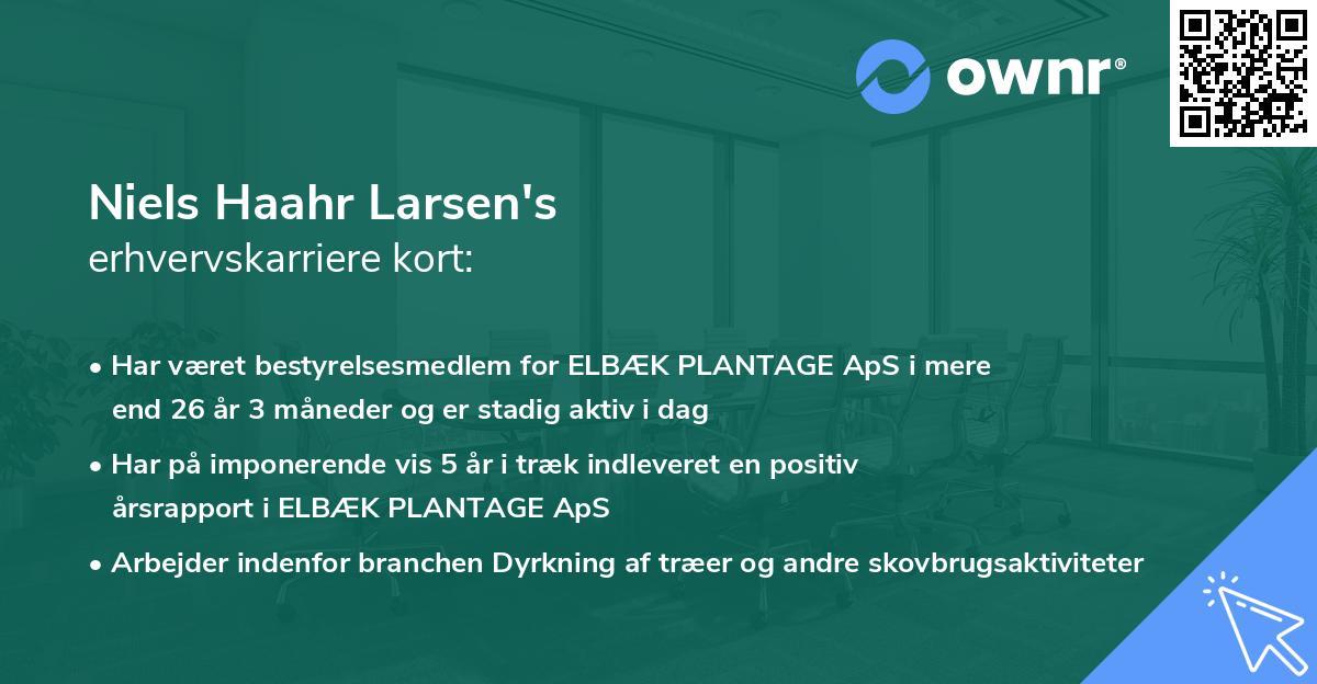 Niels Haahr Larsen's erhvervskarriere kort