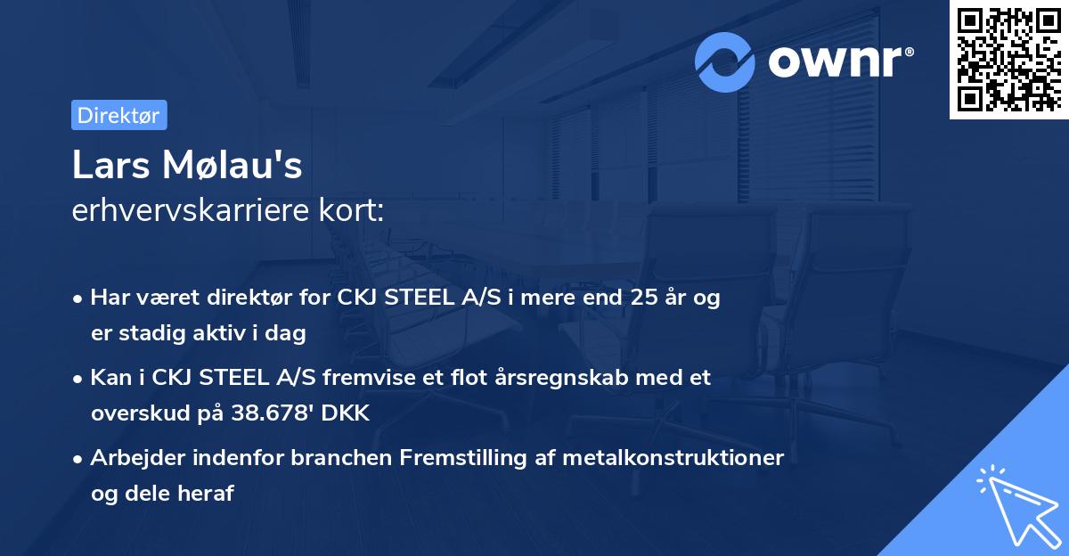 Lars Mølau's erhvervskarriere kort