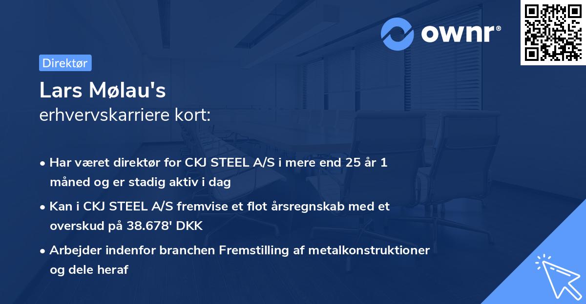Lars Mølau's erhvervskarriere kort