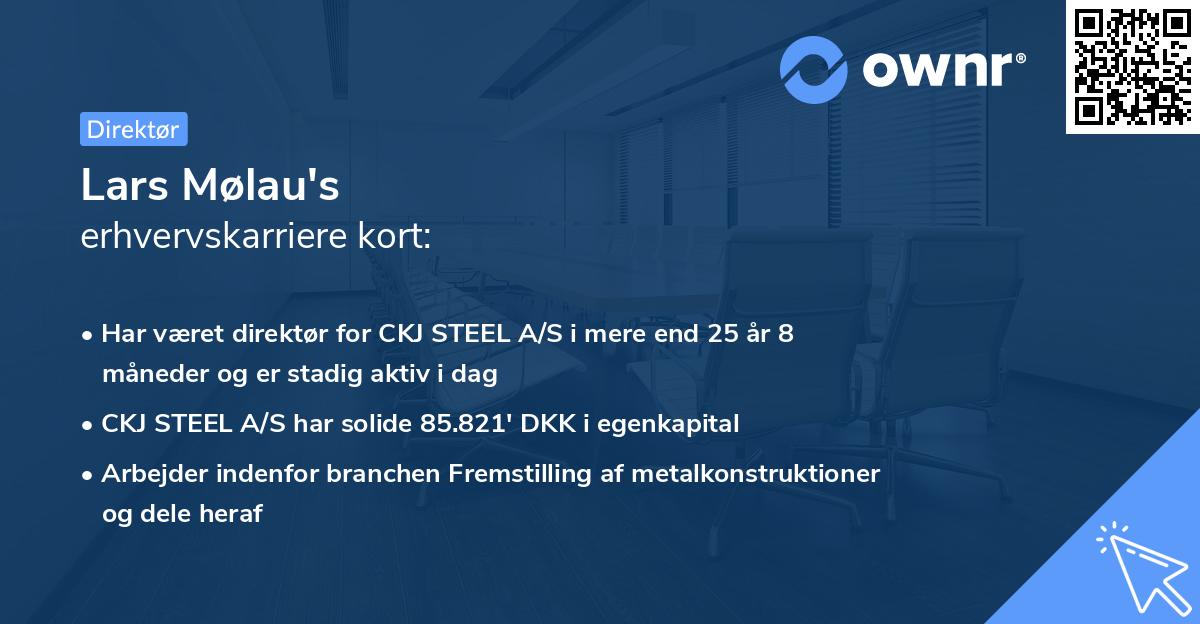 Lars Mølau's erhvervskarriere kort