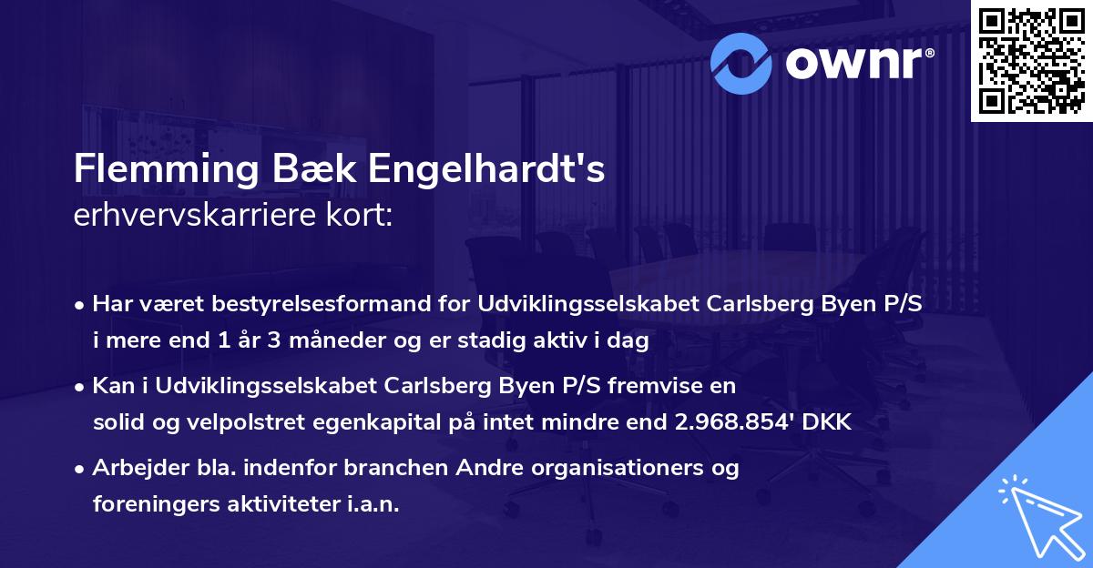 Flemming Bæk Engelhardt's erhvervskarriere kort