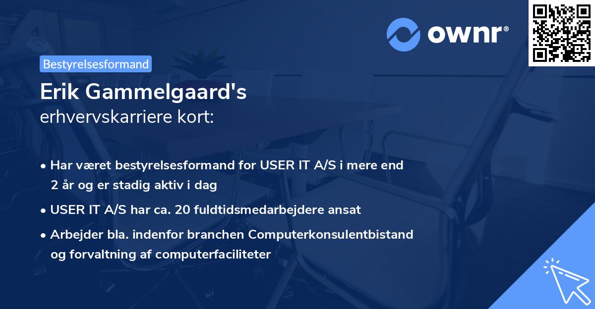 Erik Gammelgaard's erhvervskarriere kort
