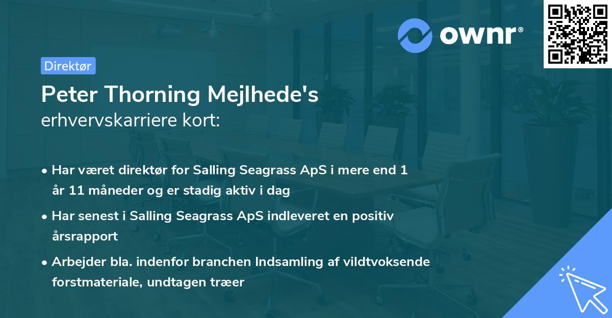 Peter Thorning Mejlhede's erhvervskarriere kort