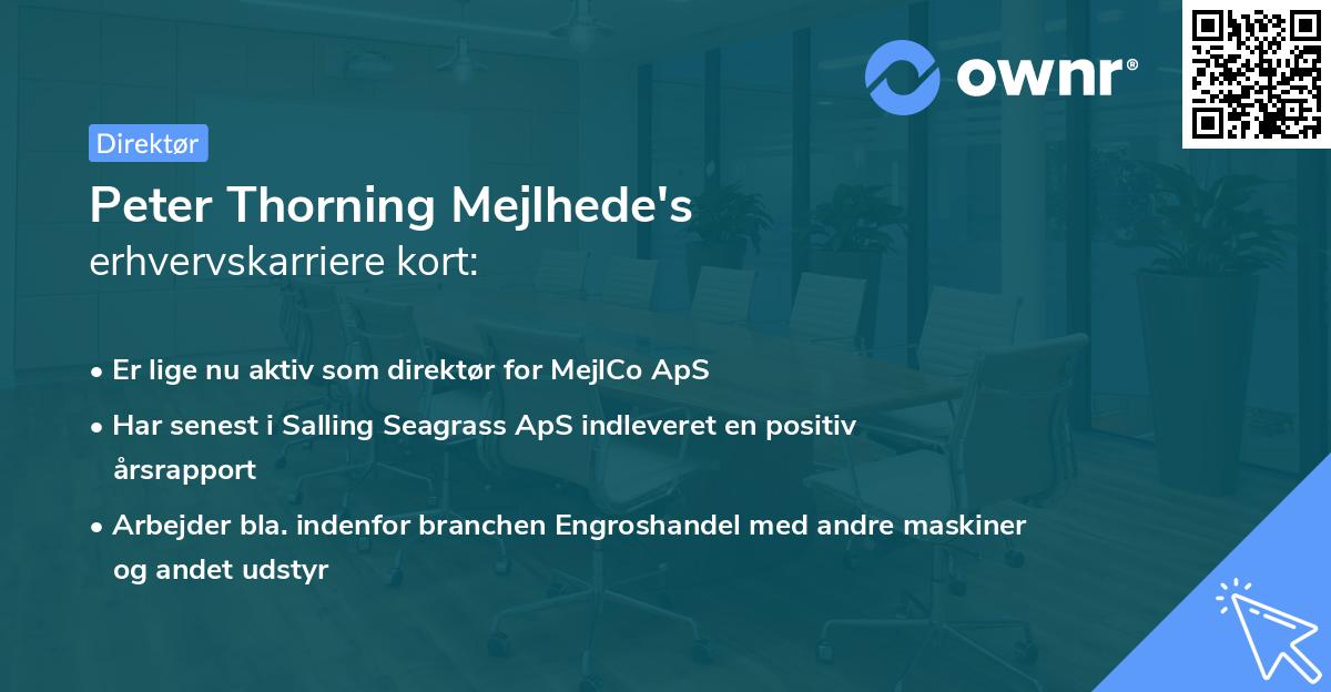 Peter Thorning Mejlhede's erhvervskarriere kort