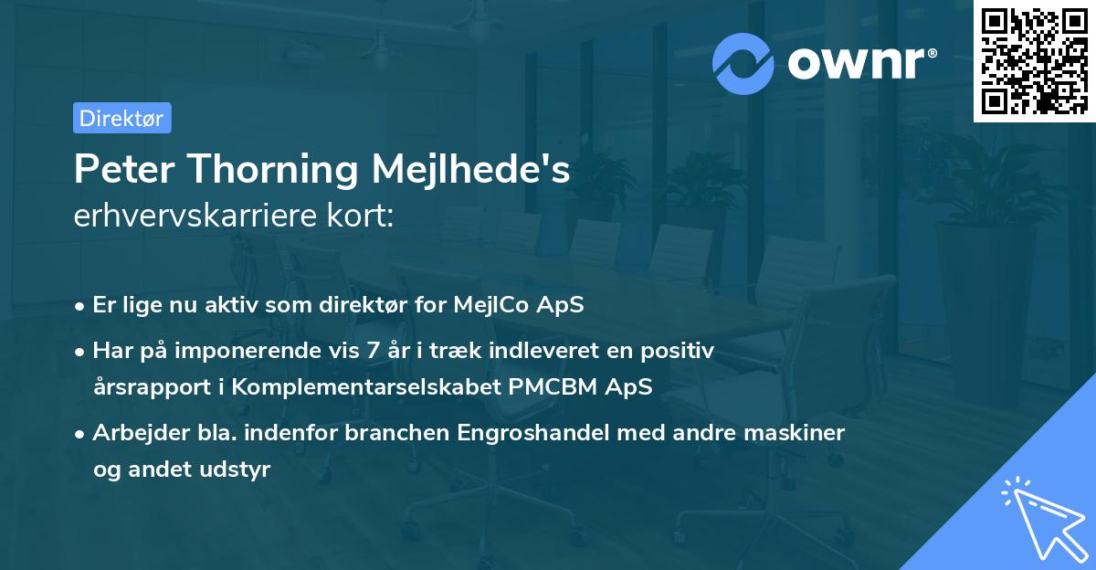 Peter Thorning Mejlhede's erhvervskarriere kort