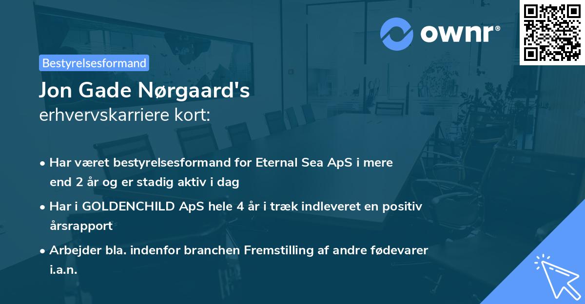 Jon Gade Nørgaard's erhvervskarriere kort