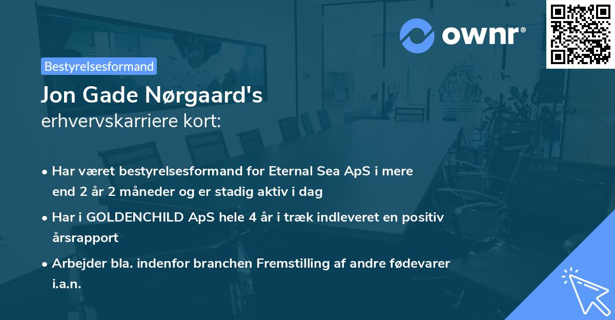 Jon Gade Nørgaard's erhvervskarriere kort