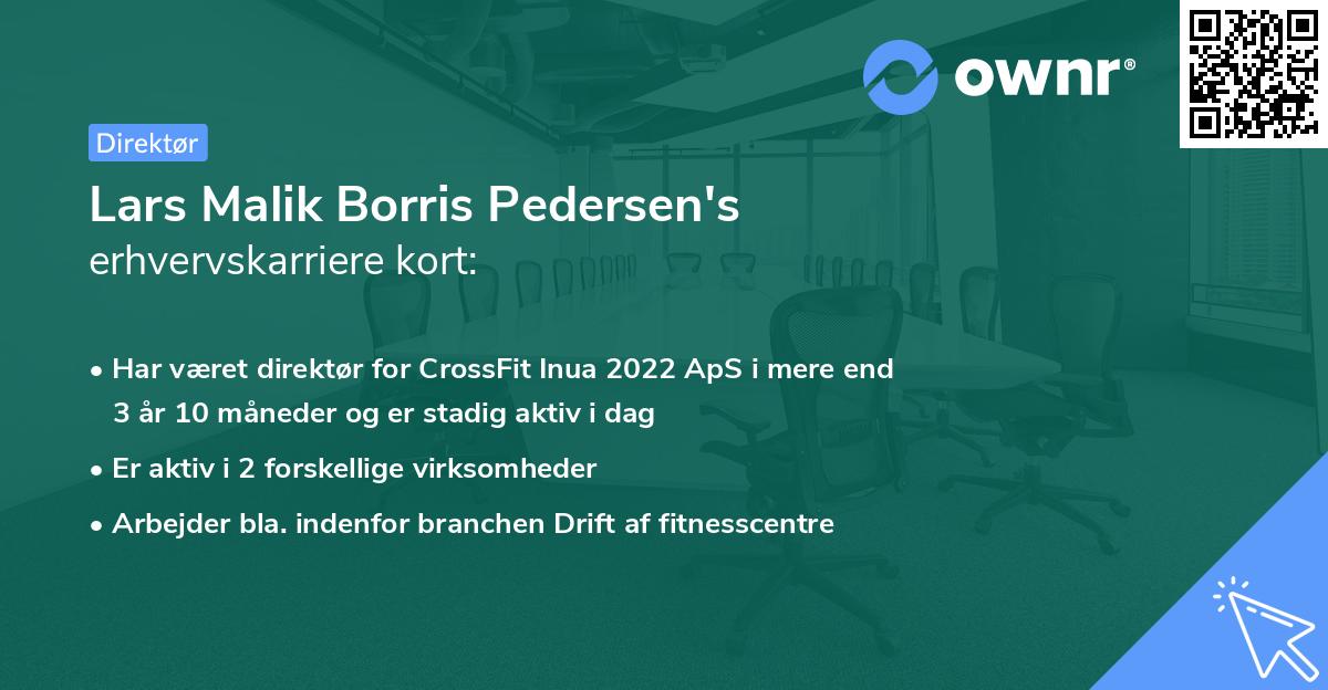 Lars Malik Borris Pedersen's erhvervskarriere kort