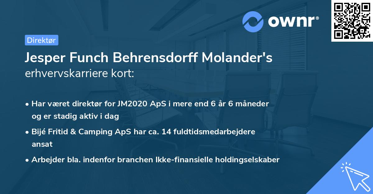 Jesper Funch Behrensdorff Molander's erhvervskarriere kort