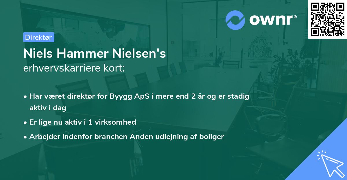 Niels Hammer Nielsen's erhvervskarriere kort
