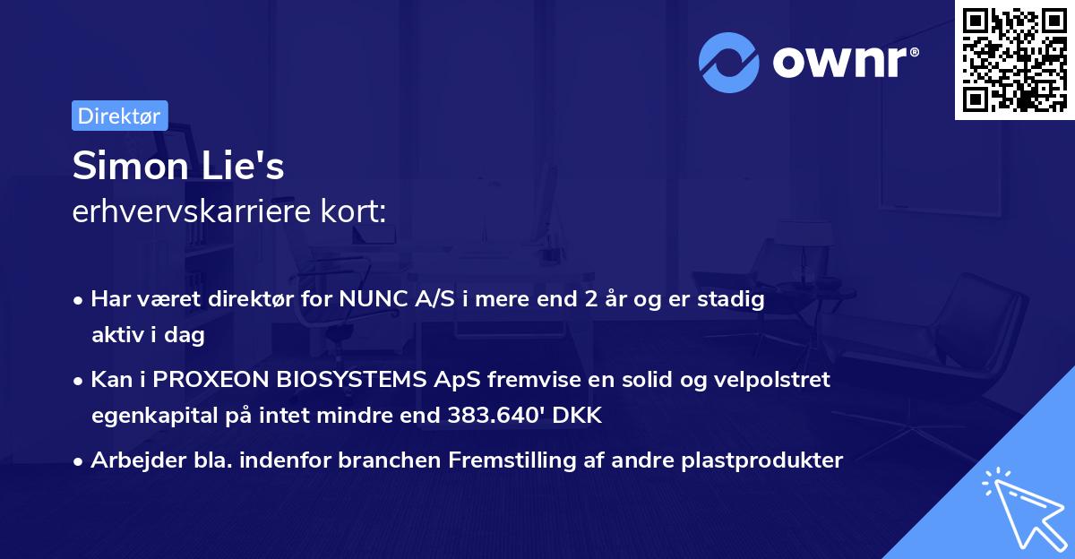 Simon Lie's erhvervskarriere kort