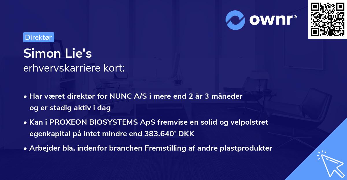 Simon Lie's erhvervskarriere kort