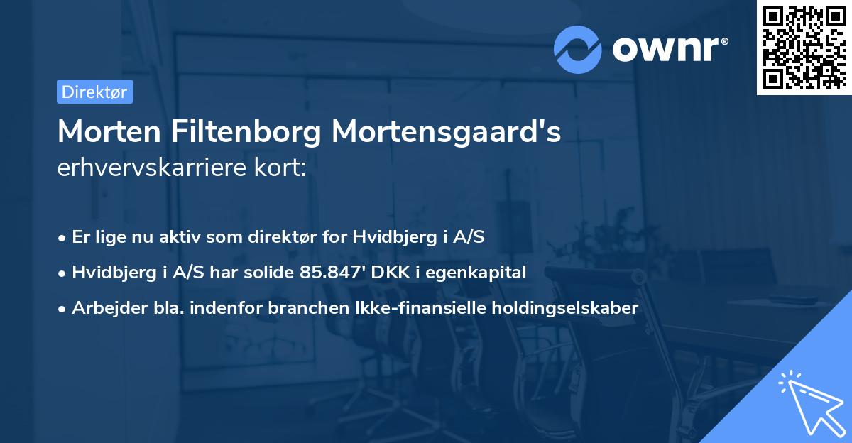 Morten Filtenborg Mortensgaard's erhvervskarriere kort