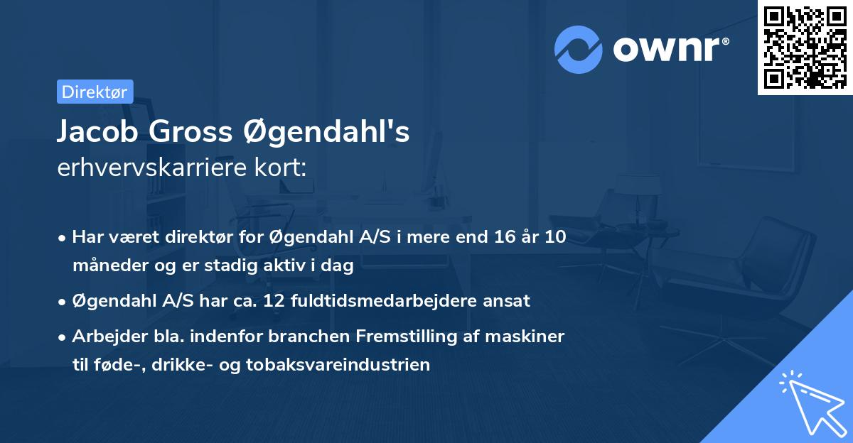 Jacob Gross Øgendahl's erhvervskarriere kort