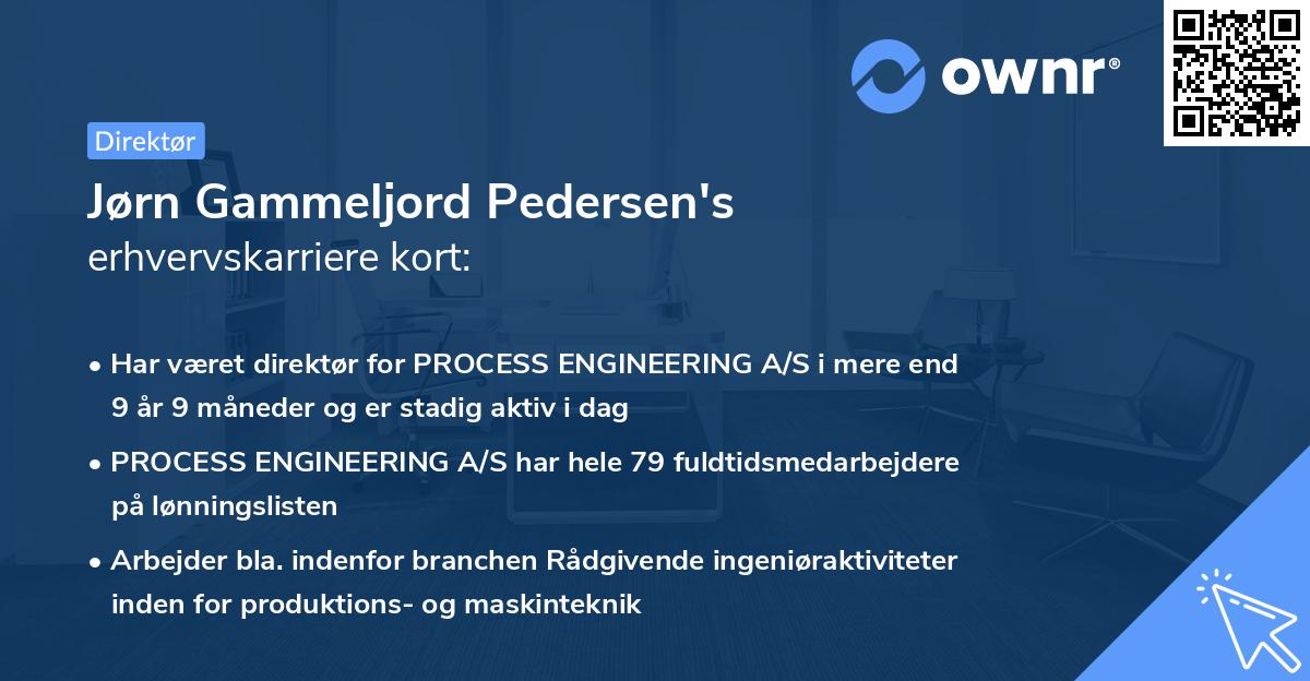Jørn Gammeljord Pedersen's erhvervskarriere kort