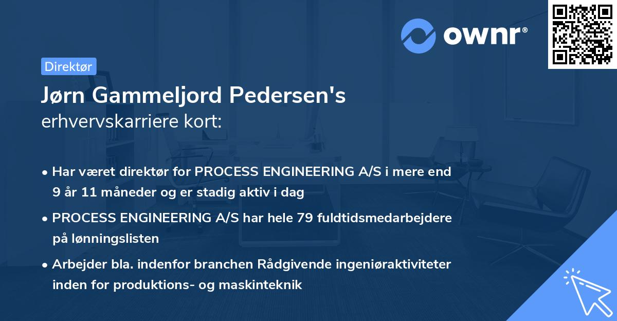 Jørn Gammeljord Pedersen's erhvervskarriere kort