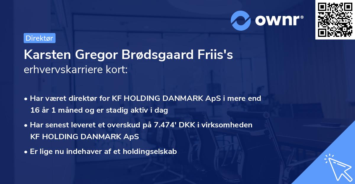 Karsten Gregor Brødsgaard Friis's erhvervskarriere kort