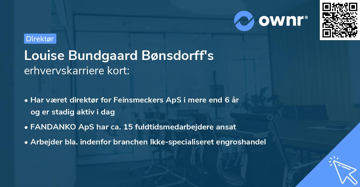 Louise Bundgaard Bønsdorff's erhvervskarriere kort