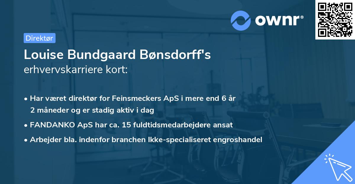 Louise Bundgaard Bønsdorff's erhvervskarriere kort