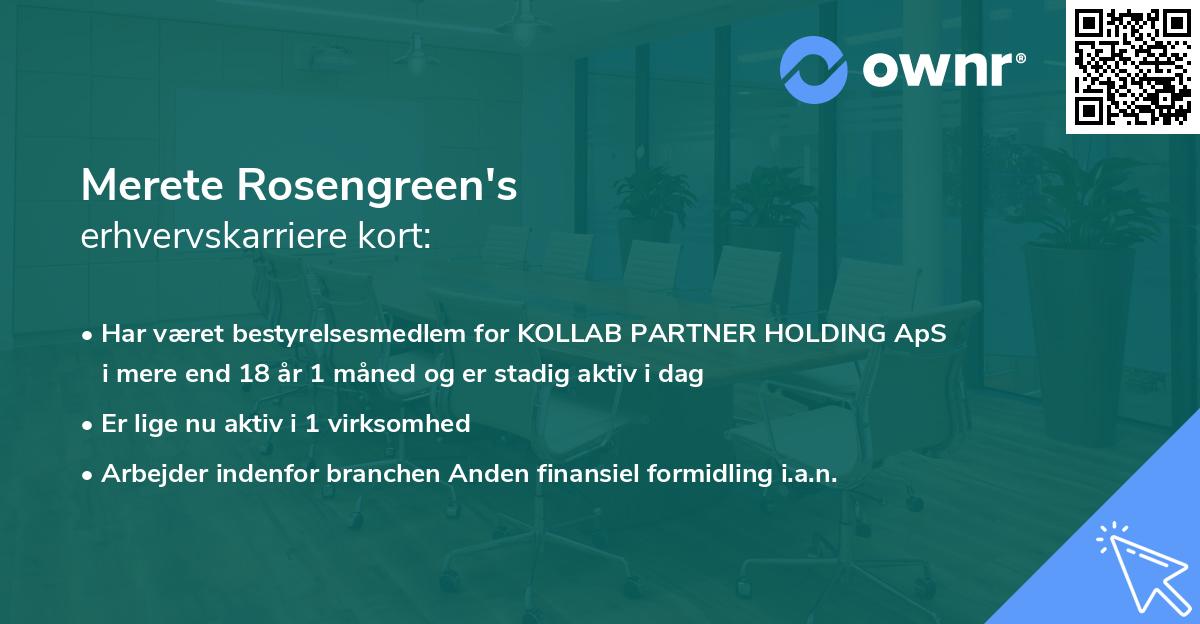 Merete Rosengreen's erhvervskarriere kort