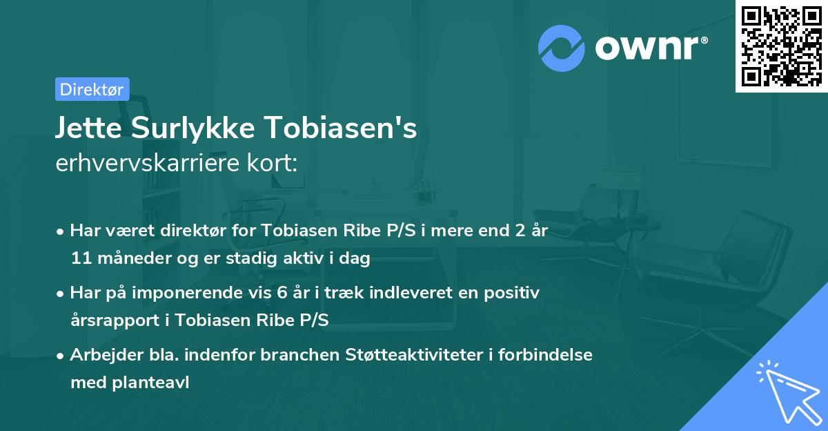 Jette Surlykke Tobiasen's erhvervskarriere kort