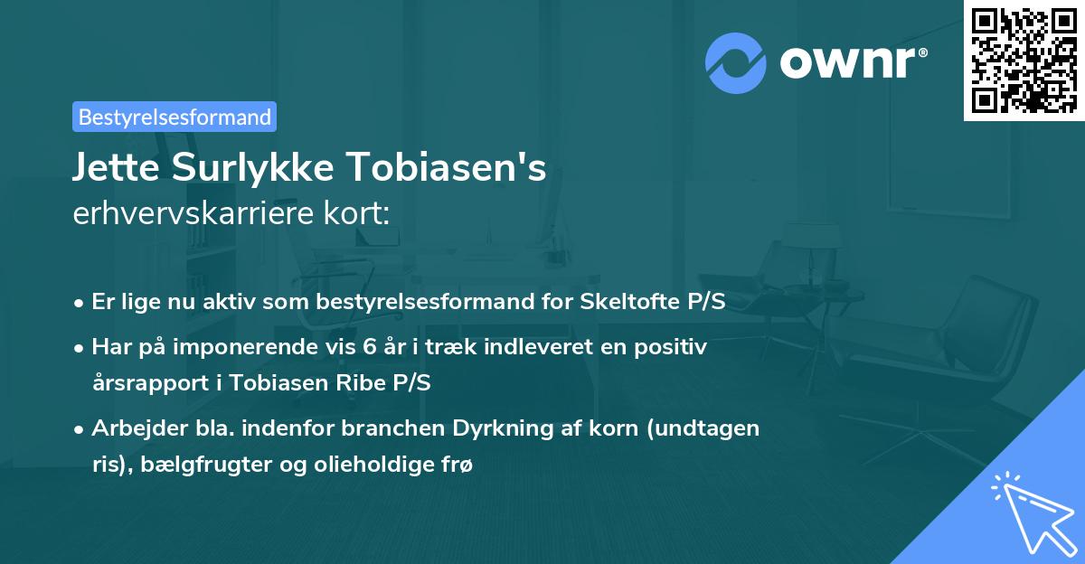 Jette Surlykke Tobiasen's erhvervskarriere kort
