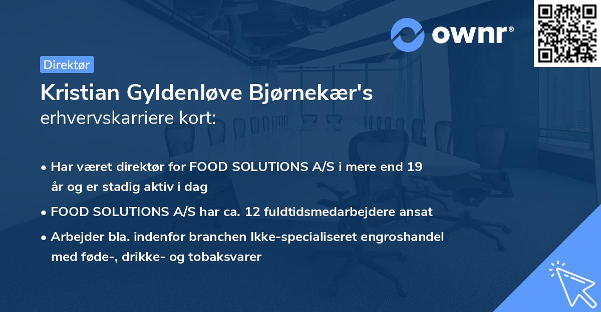 Kristian Gyldenløve Bjørnekær's erhvervskarriere kort