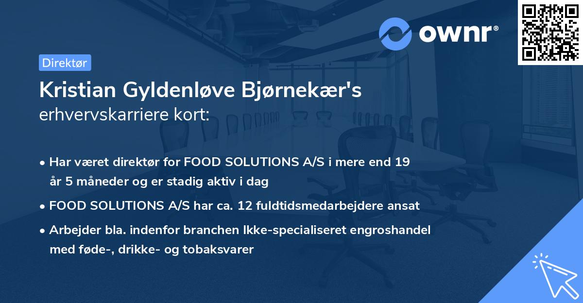 Kristian Gyldenløve Bjørnekær's erhvervskarriere kort