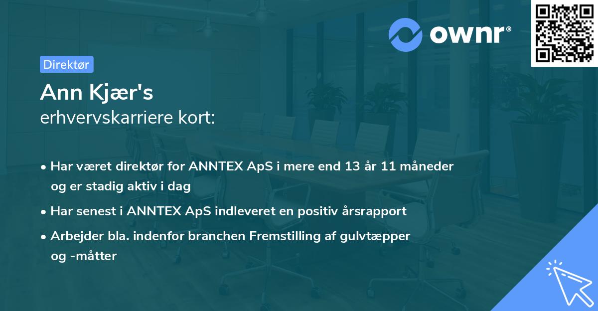 Ann Kjær's erhvervskarriere kort