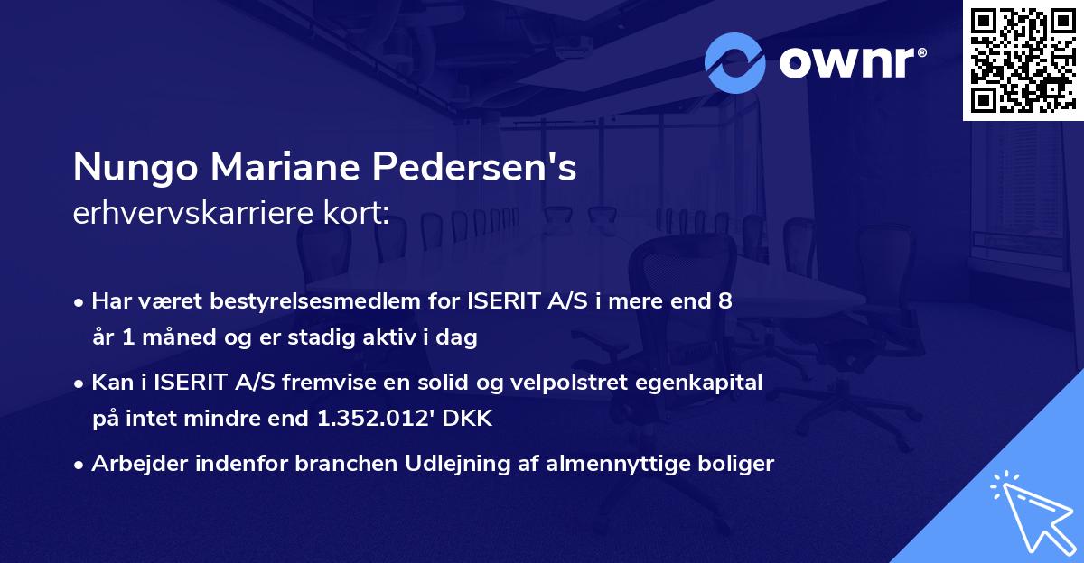 Nungo Mariane Pedersen's erhvervskarriere kort