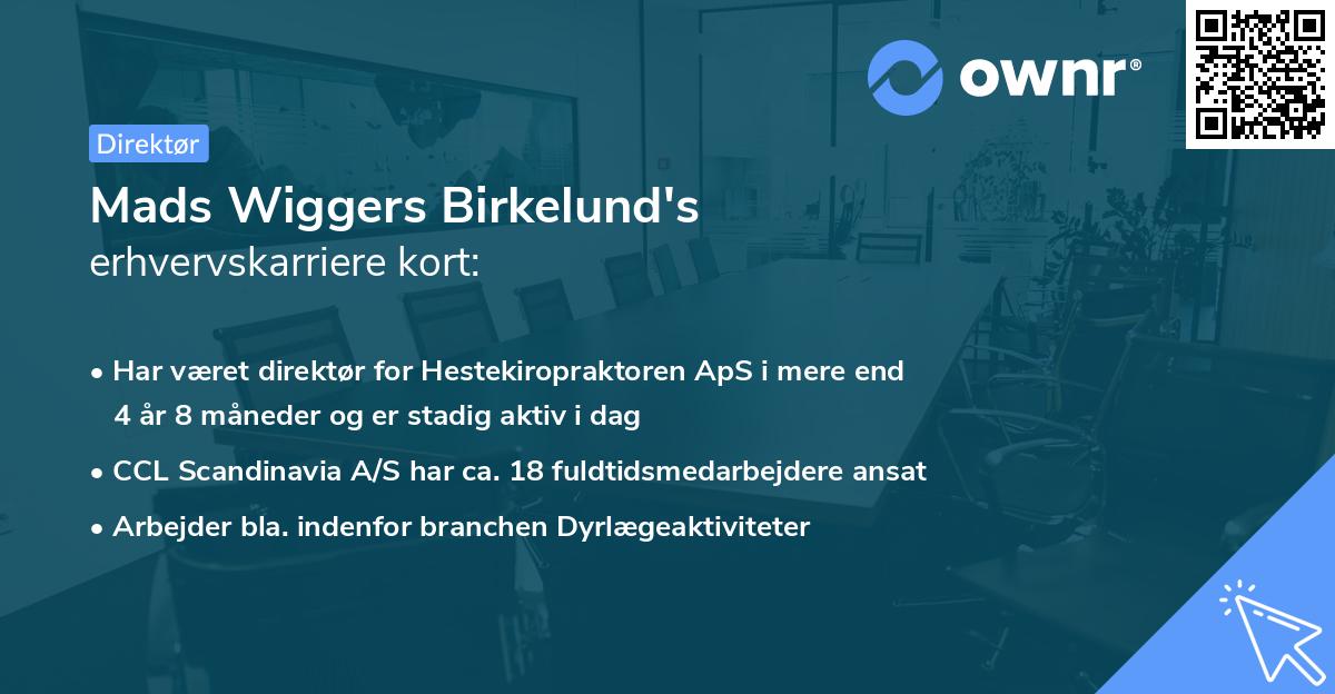 Mads Wiggers Birkelund's erhvervskarriere kort