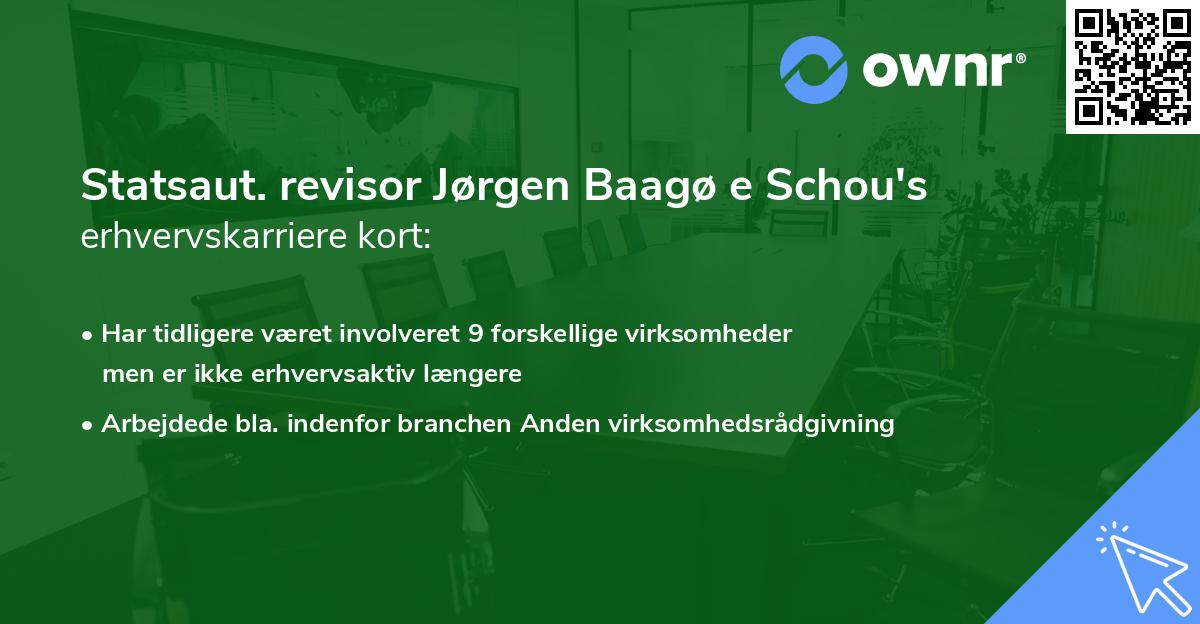 Statsaut. revisor Jørgen Baagø e Schou's erhvervskarriere kort