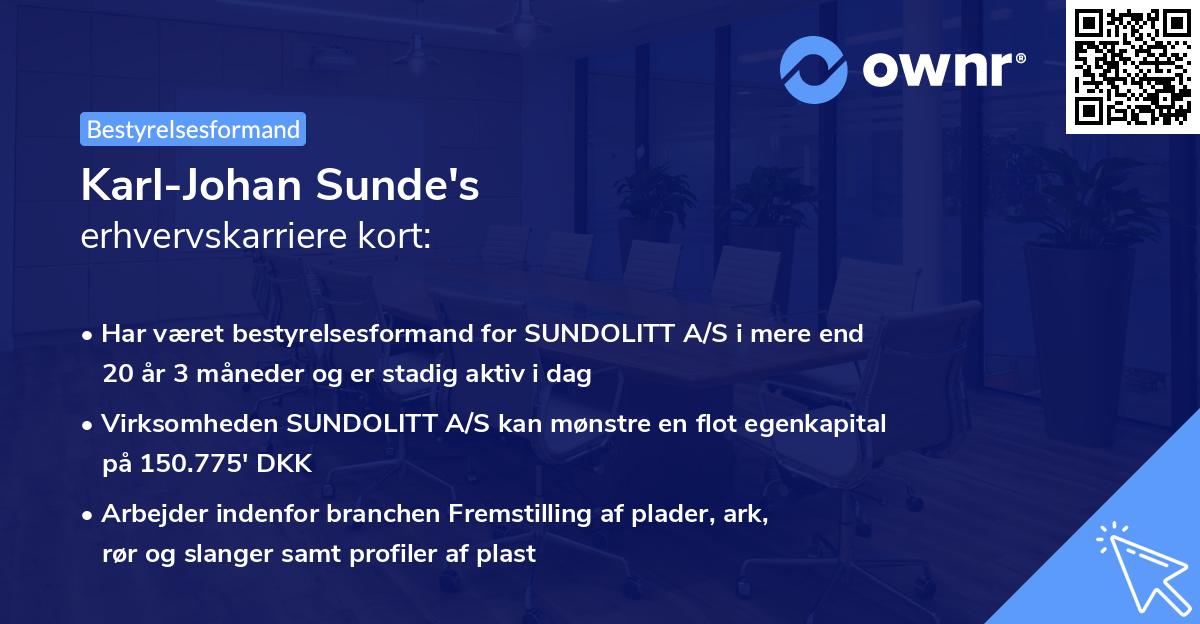 Karl-Johan Sunde's erhvervskarriere kort