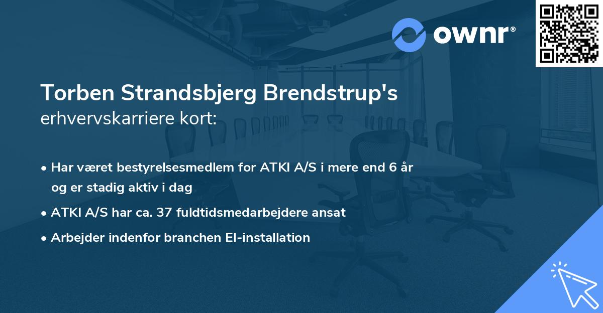 Torben Strandsbjerg Brendstrup's erhvervskarriere kort