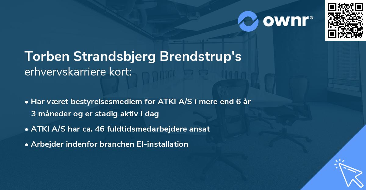 Torben Strandsbjerg Brendstrup's erhvervskarriere kort