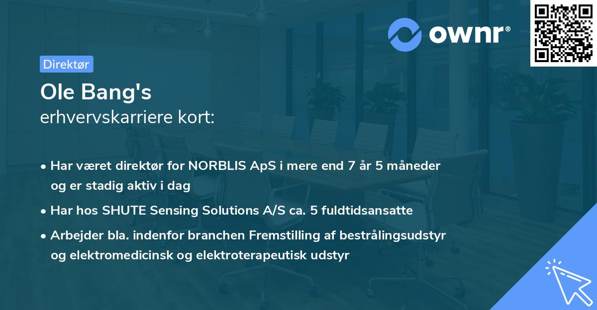 Ole Bang's erhvervskarriere kort