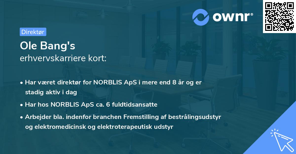 Ole Bang's erhvervskarriere kort