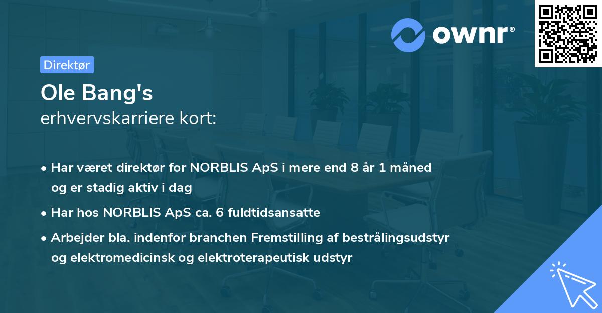 Ole Bang's erhvervskarriere kort