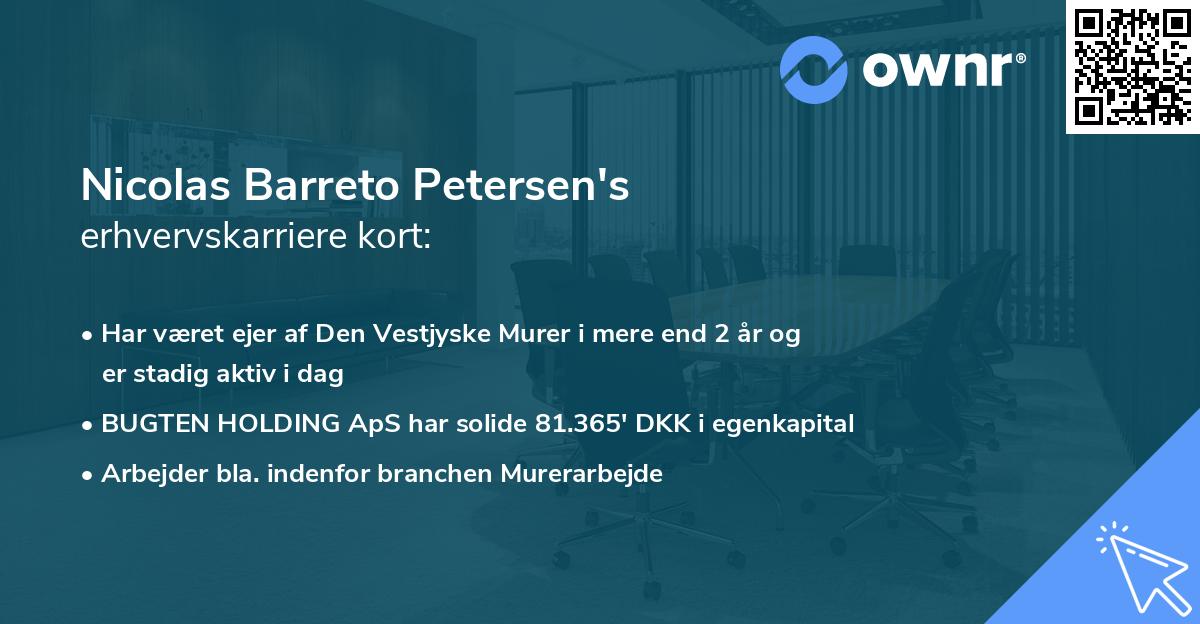 Nicolas Barreto Petersen's erhvervskarriere kort