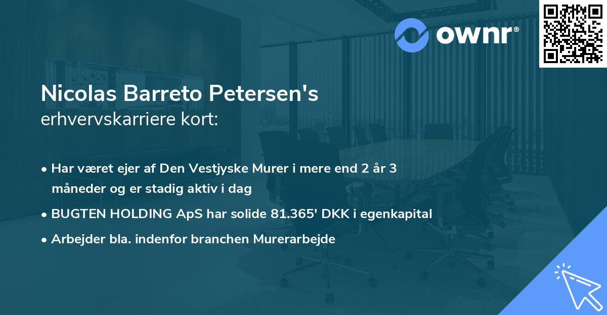 Nicolas Barreto Petersen's erhvervskarriere kort