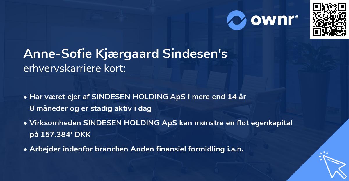 Anne-Sofie Kjærgaard Sindesen's erhvervskarriere kort