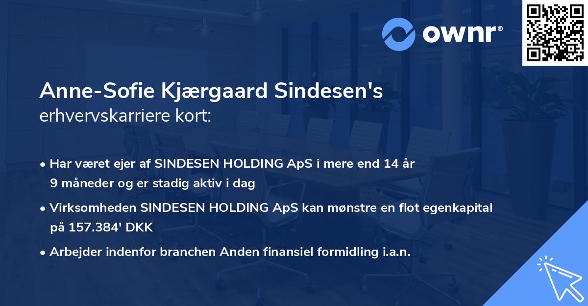 Anne-Sofie Kjærgaard Sindesen's erhvervskarriere kort