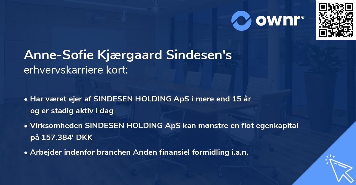 Anne-Sofie Kjærgaard Sindesen's erhvervskarriere kort