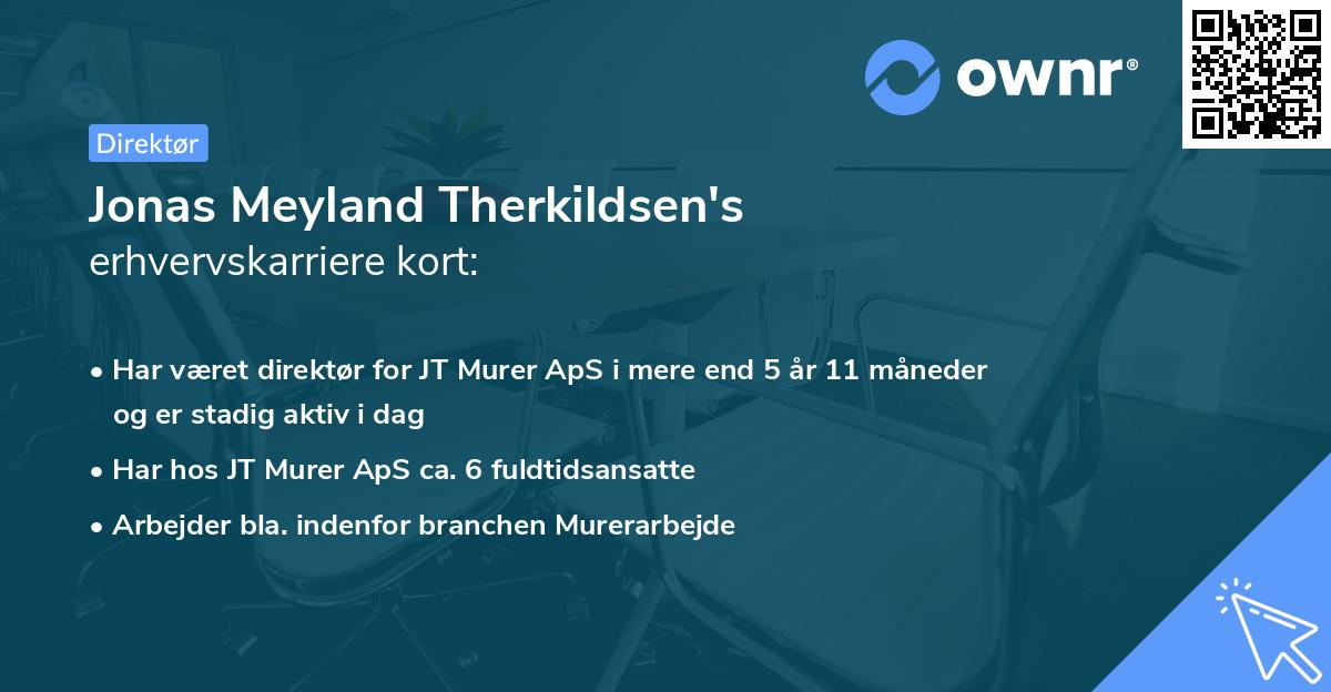 Jonas Meyland Therkildsen's erhvervskarriere kort